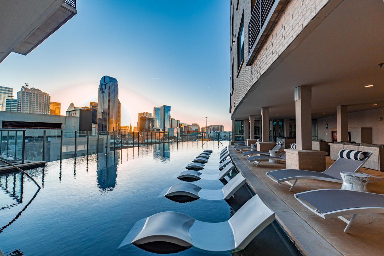Top rated luxury apartments offering pet-friendly amenities in downtown manhattan
